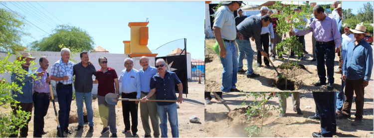 En marcha el programa de reforestación en el Centro Recreativo “Manuel Ferra Martínez” Quinta Emilia, de Hermosillo