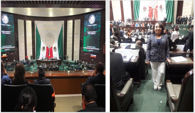 Maestra de Sonora en el Congreso de la Unión. Diputada Federal Hildelisa González Morales de Navojoa, de la coalición que encabeza Morena