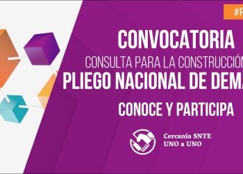 Texto íntegro de la Convocatoria de la Consulta para la Construcción del Pliego Nacional de Demandas 2019 del SNTE