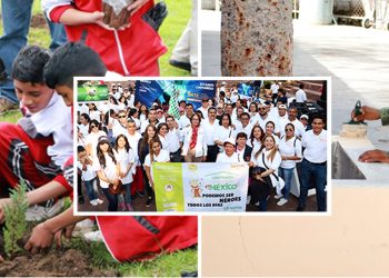 La Sección 28 de Sonora se suma al programa de reforestación que promueven el SNTE y la SEDENA, instituciones que han plantado más de 15 mil árboles en distintas zonas del país