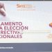 Texto íntegro del Reglamento para la elección de las directivas seccionales del Sindicato Nacional de Trabajadores de la Educación