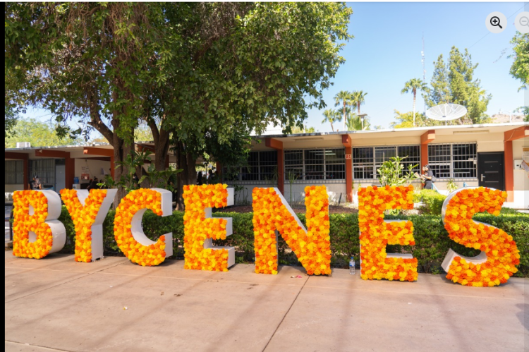 Gral. Plutarco Elías Calles: creador de la Normal del Estado de Sonora